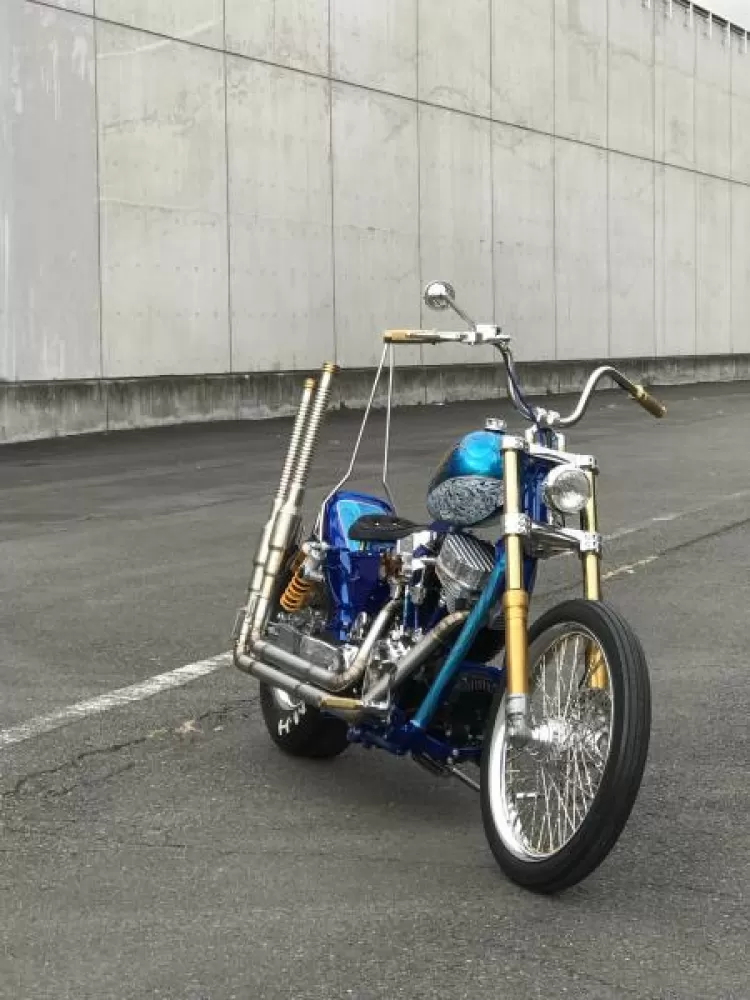 Harley dyna chopper store